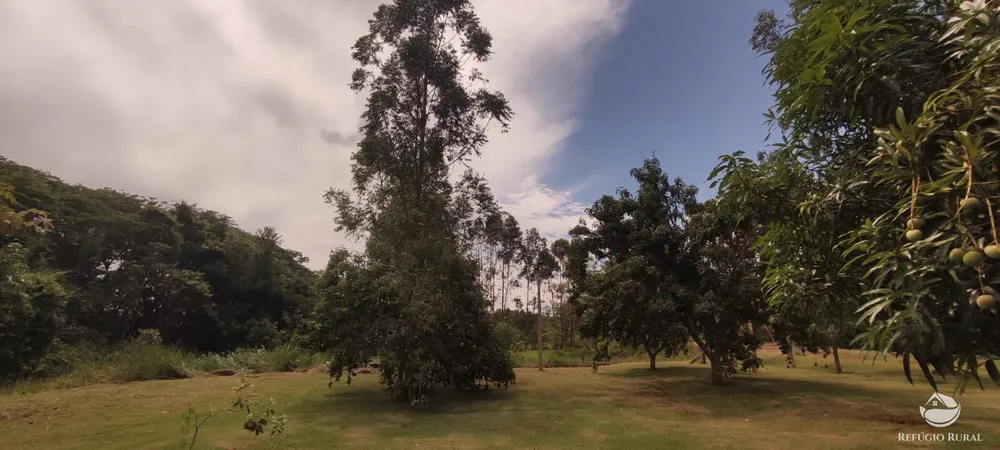 Chácara, 1 quarto, 3600 m² - Foto 9
