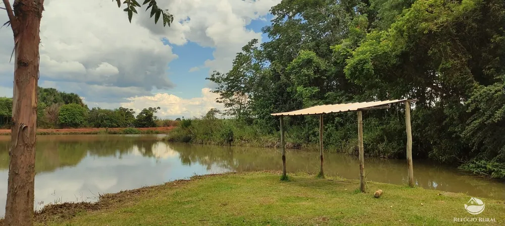 Chácara, 1 quarto, 3600 m² - Foto 13