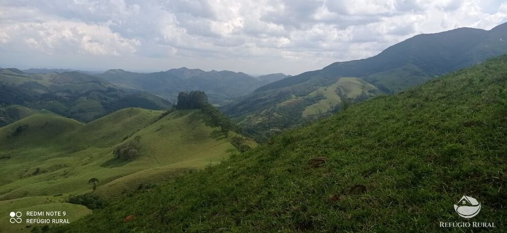 Terreno, 3 hectares - Foto 2