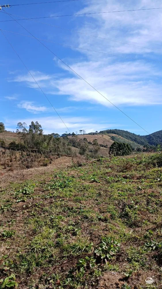 Chácara, 2 hectares - Foto 2