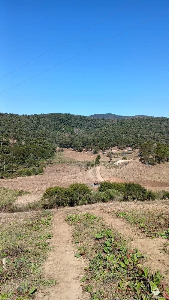Chácara, 2 hectares - Foto 4
