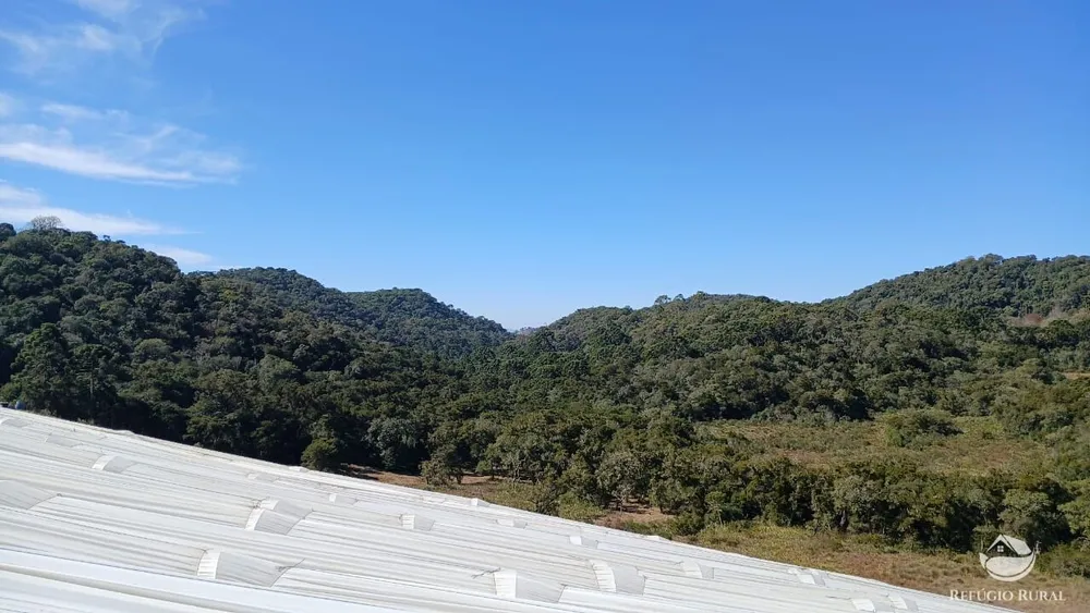 Chácara, 2 hectares - Foto 3