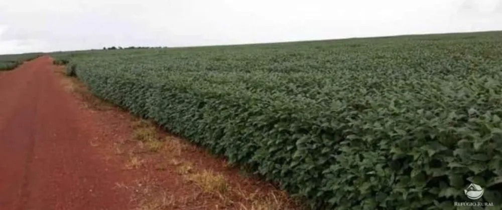 Fazenda, 3465 hectares - Foto 13