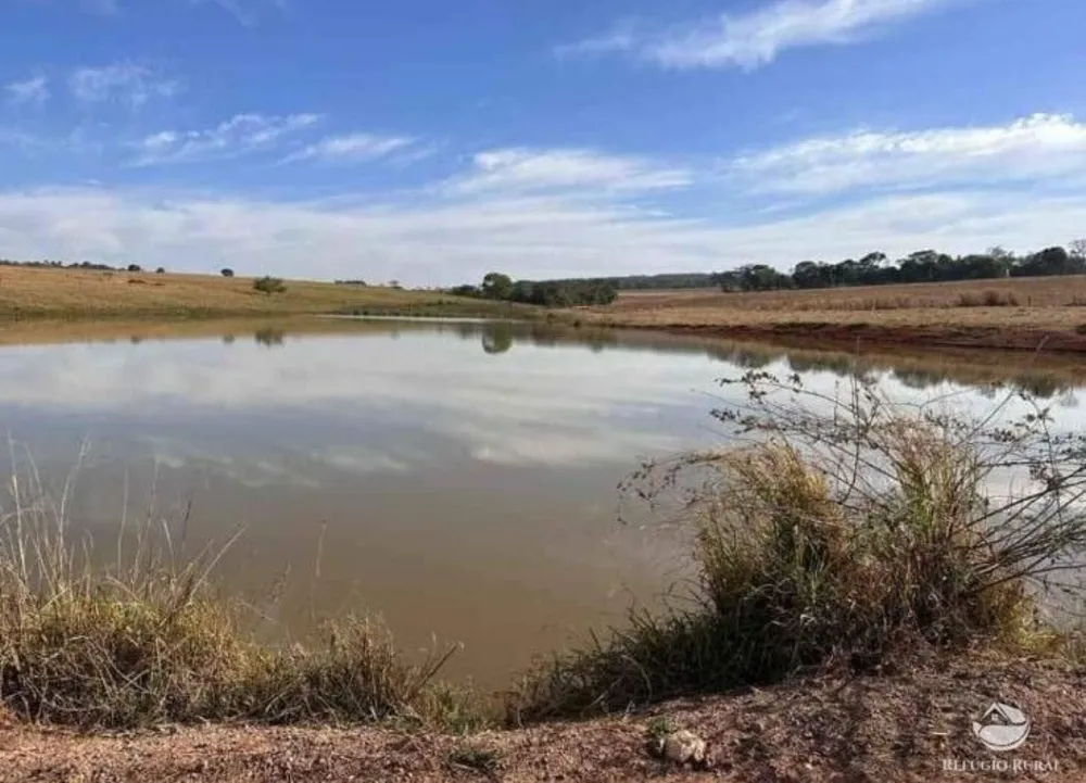 Fazenda, 3465 hectares - Foto 2