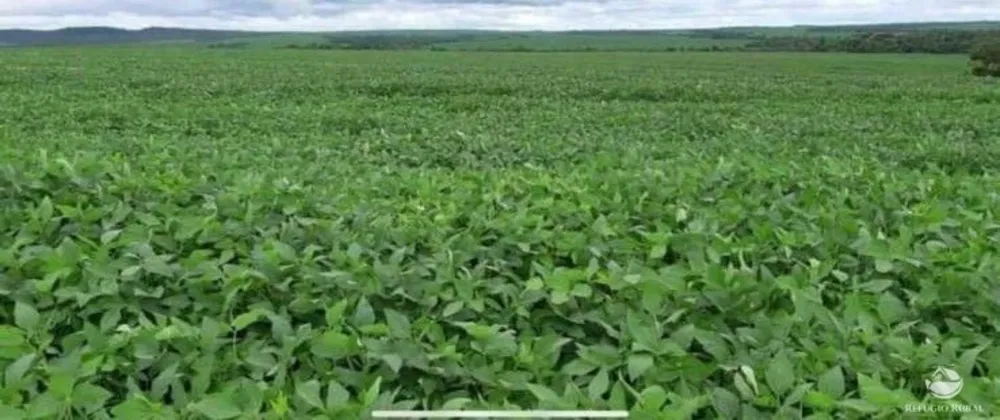 Fazenda, 3465 hectares - Foto 6