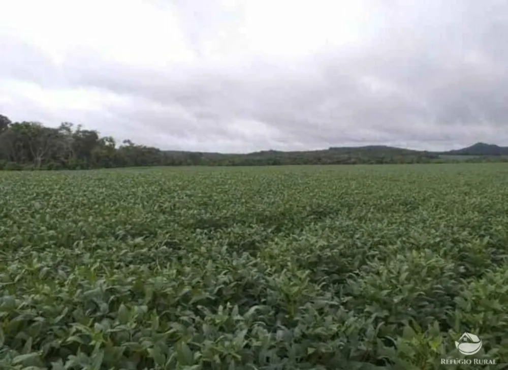 Fazenda, 3465 hectares - Foto 8