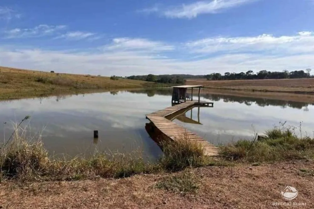 Fazenda, 3465 hectares - Foto 4