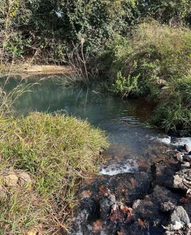 Fazenda, 3465 hectares - Foto 5
