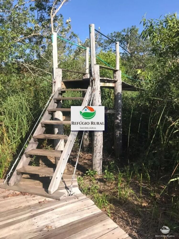 Chácara, 1 quarto, 8 hectares - Foto 8