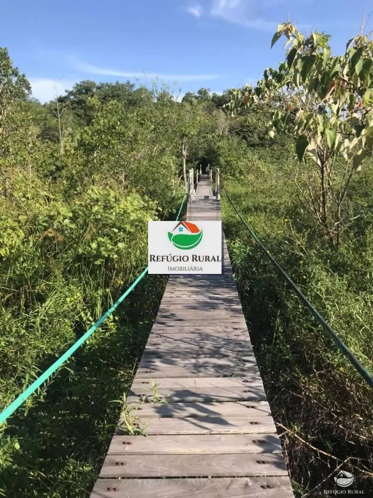 Chácara, 1 quarto, 8 hectares - Foto 7