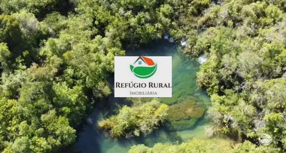 Chácara, 1 quarto, 8 hectares - Foto 3