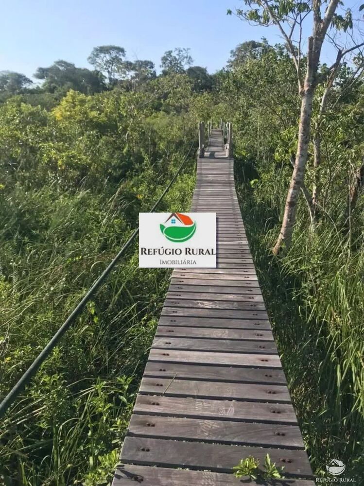 Chácara, 1 quarto, 8 hectares - Foto 4