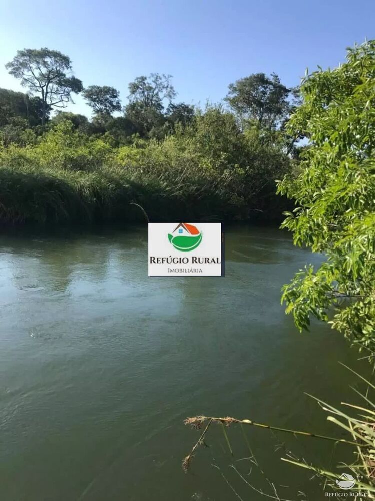 Chácara, 1 quarto, 8 hectares - Foto 6