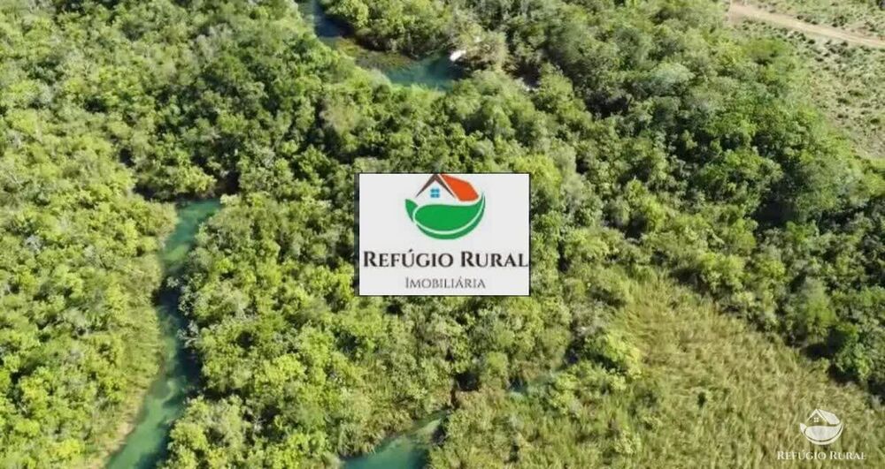 Chácara, 1 quarto, 8 hectares - Foto 11