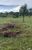 Fazenda-Sítio-Chácara, 30 hectares - Foto 3
