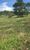 Fazenda-Sítio-Chácara, 30 hectares - Foto 1