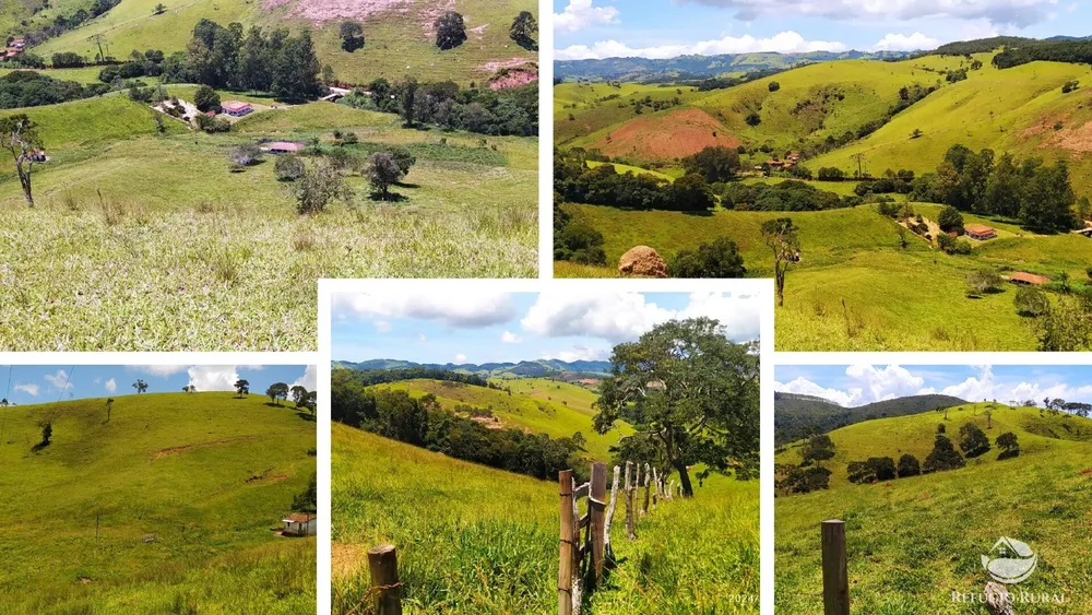 Sítio, 61 hectares - Foto 4