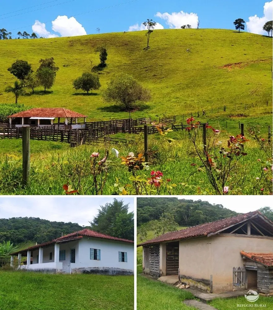 Sítio, 61 hectares - Foto 2