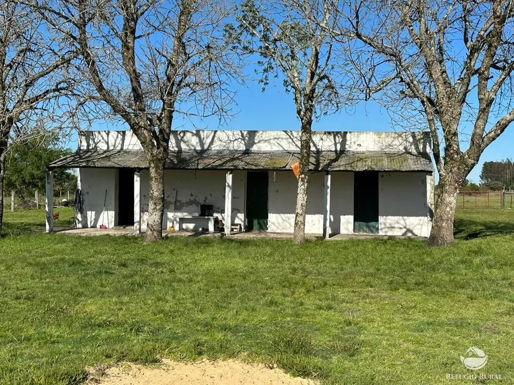 Fazenda, 9112 hectares - Foto 16