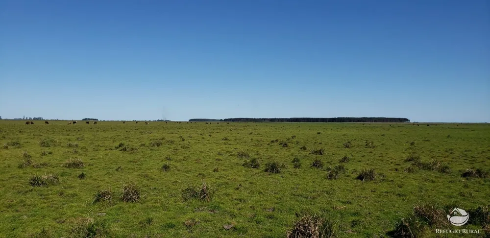 Fazenda, 9112 hectares - Foto 7