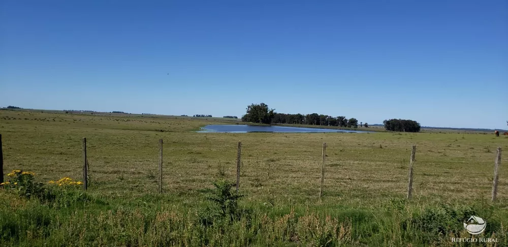 Fazenda, 9112 hectares - Foto 4