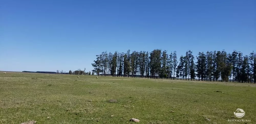 Fazenda, 9112 hectares - Foto 2