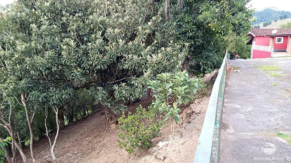 Chácara, 4 quartos, 4584 m² - Foto 20