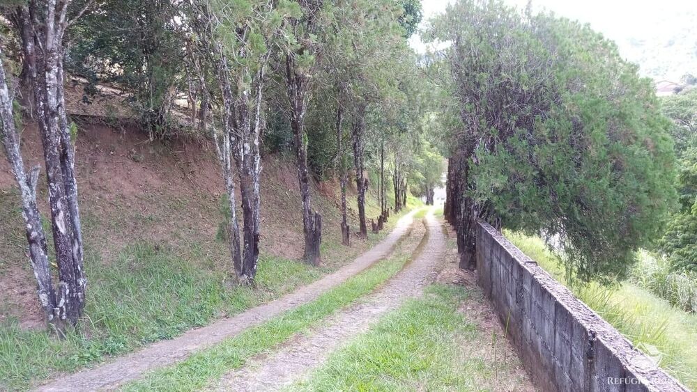 Chácara, 4 quartos, 4584 m² - Foto 3