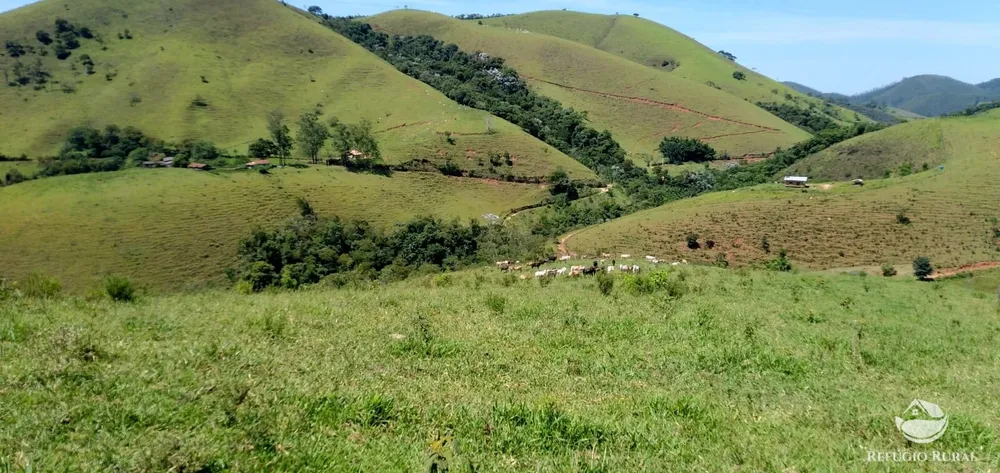 Terreno, 145 hectares - Foto 10