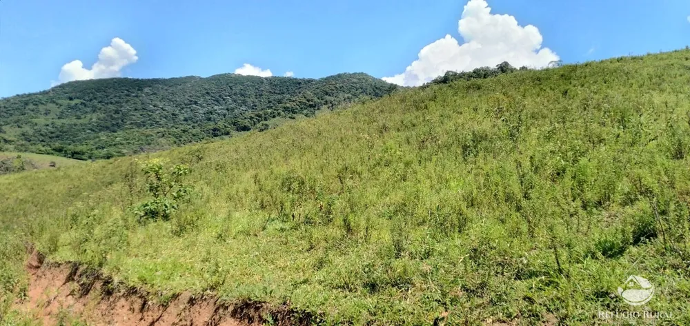 Terreno, 145 hectares - Foto 4