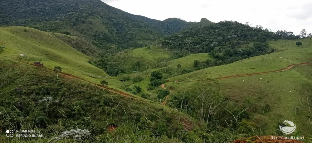 Terreno, 145 hectares - Foto 2