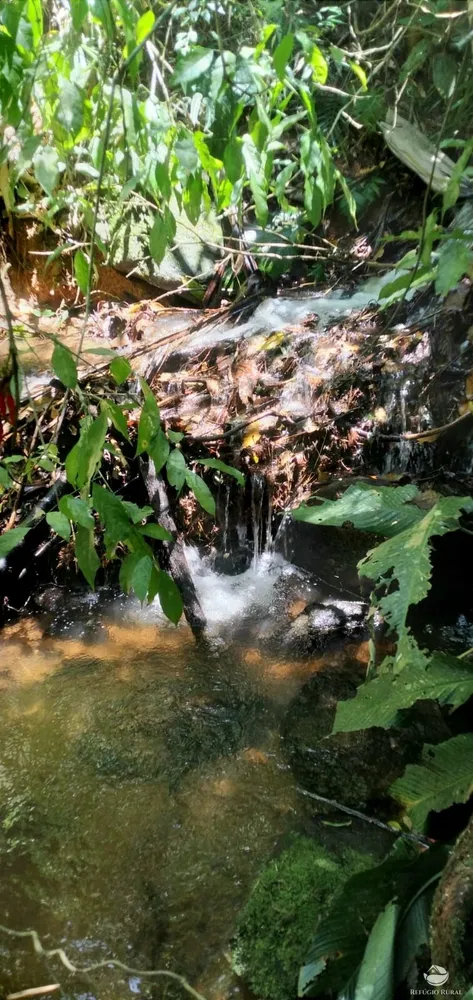 Terreno, 145 hectares - Foto 14