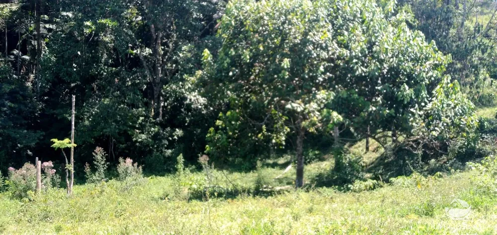 Terreno, 145 hectares - Foto 9