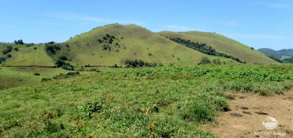 Terreno, 145 hectares - Foto 8