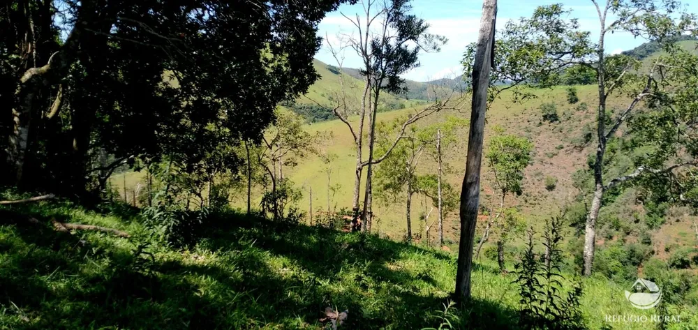 Terreno, 145 hectares - Foto 7