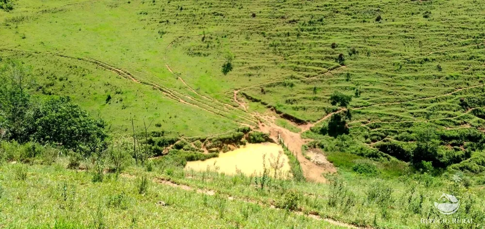 Terreno, 145 hectares - Foto 6