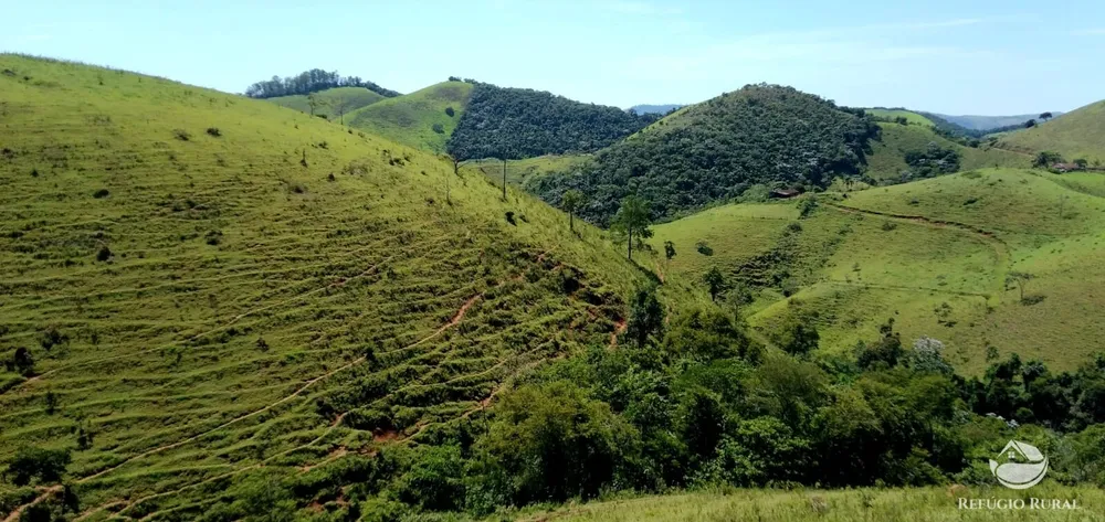 Terreno, 145 hectares - Foto 3