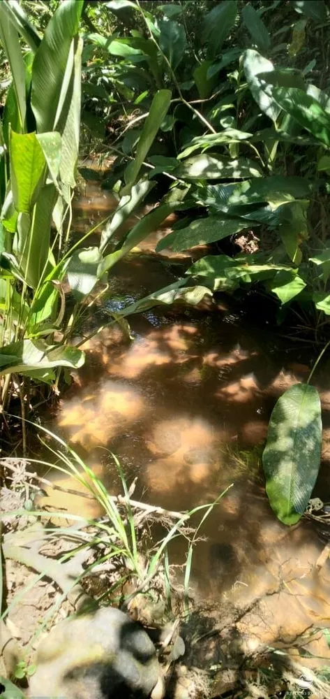 Terreno, 145 hectares - Foto 15