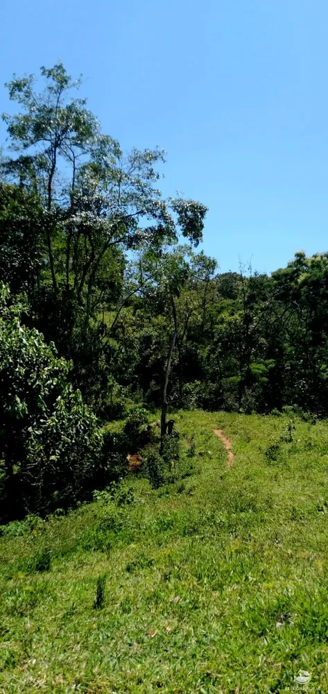 Terreno, 145 hectares - Foto 4