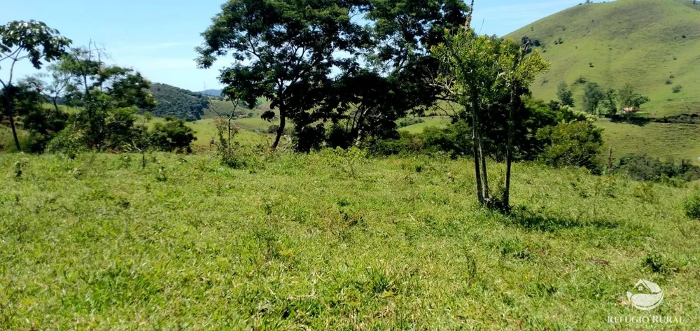 Terreno, 145 hectares - Foto 1