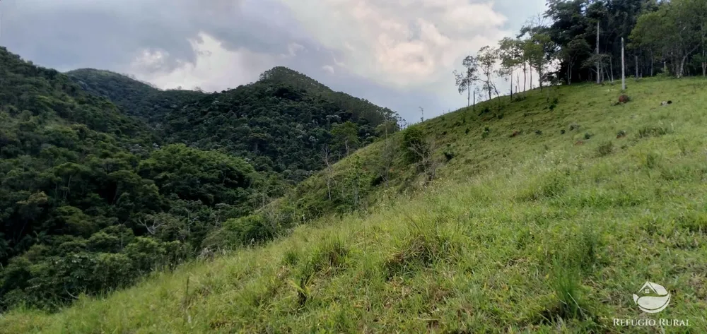 Terreno, 145 hectares - Foto 8