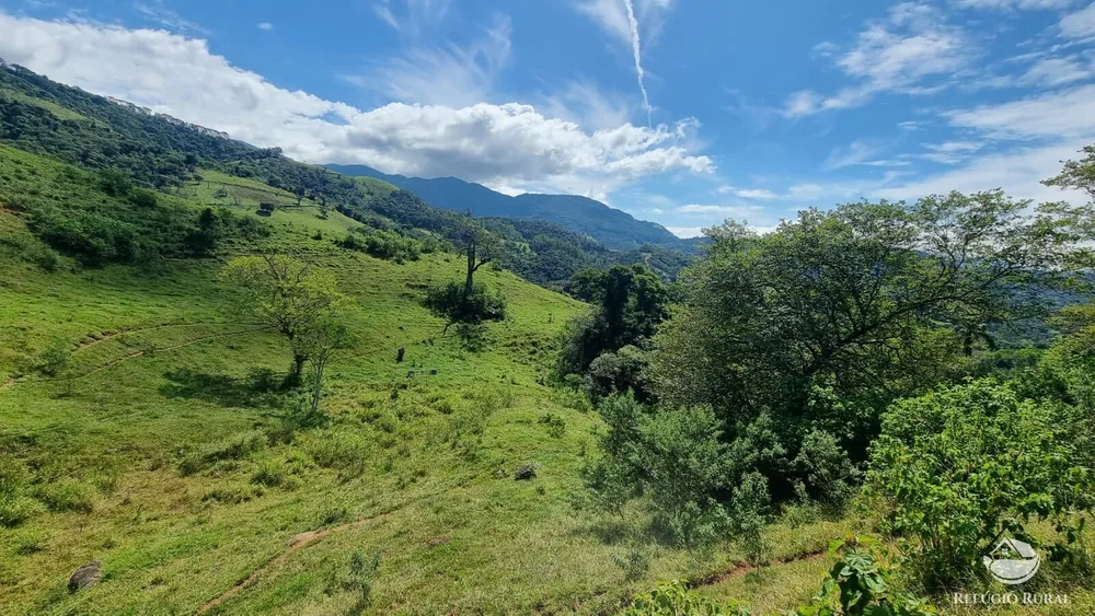 Terreno, 5 hectares - Foto 8