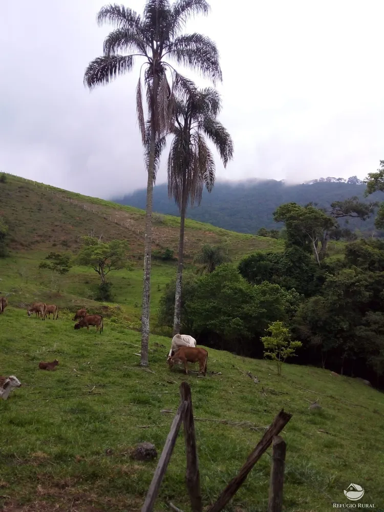 Terreno, 5 hectares - Foto 10