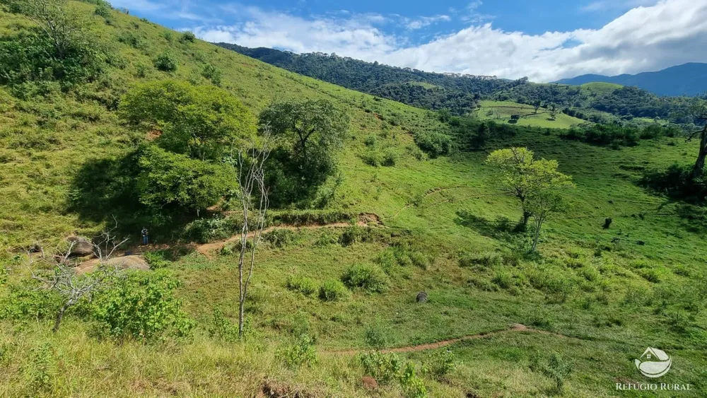 Terreno, 5 hectares - Foto 4