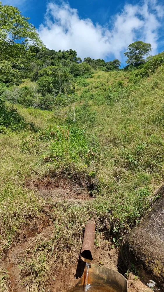 Terreno, 5 hectares - Foto 2