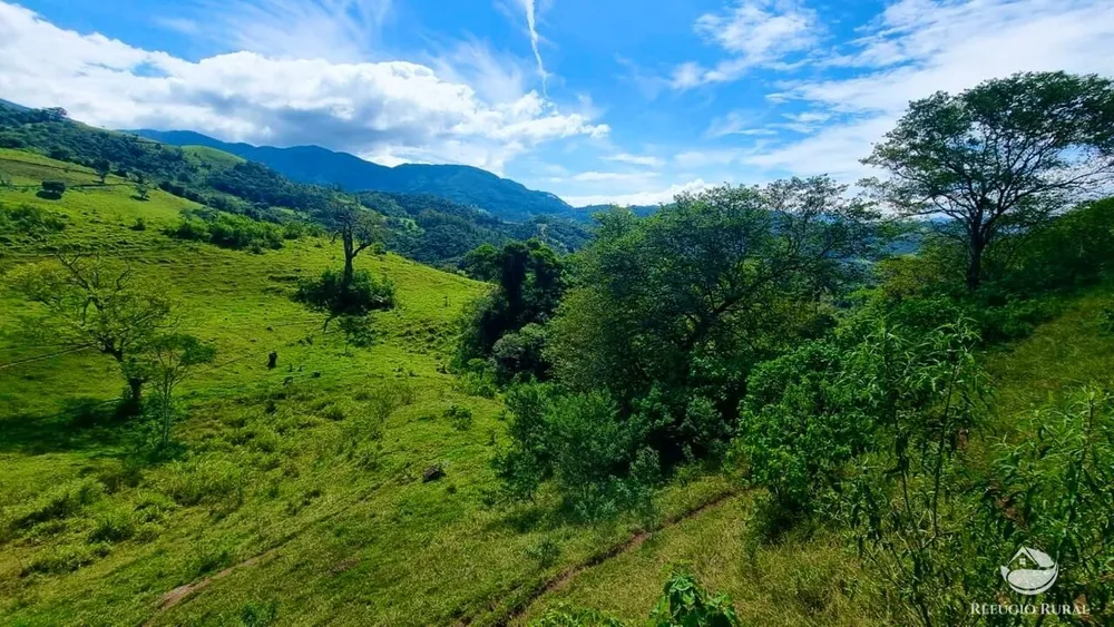 Terreno, 5 hectares - Foto 1
