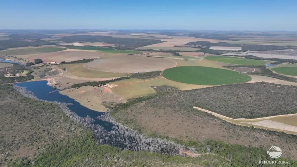 Fazenda, 1400 hectares - Foto 8