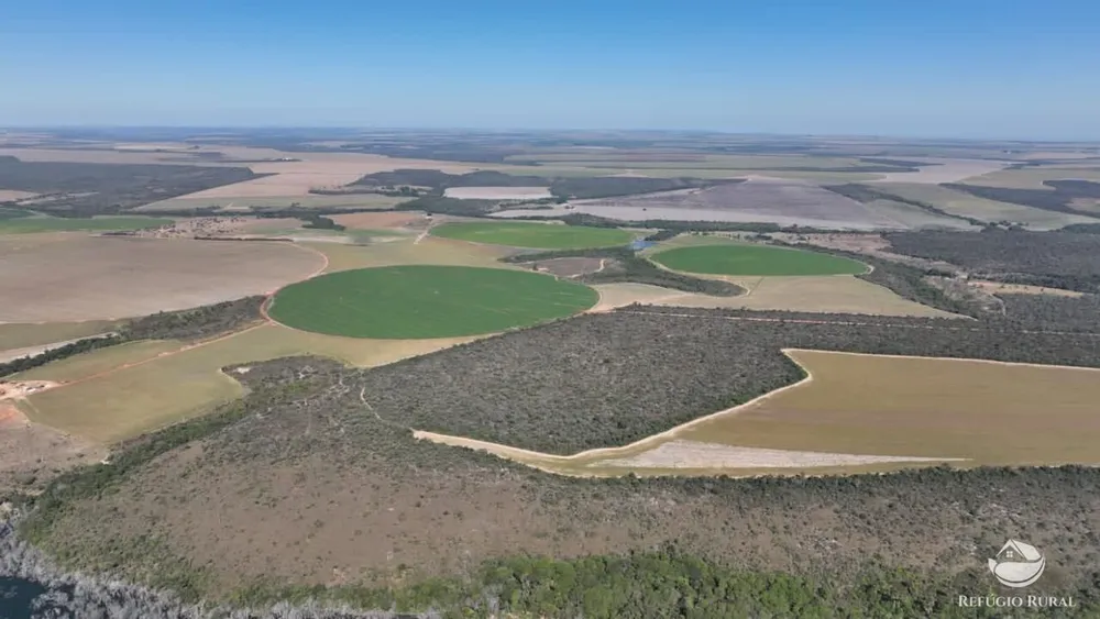 Fazenda, 1400 hectares - Foto 6