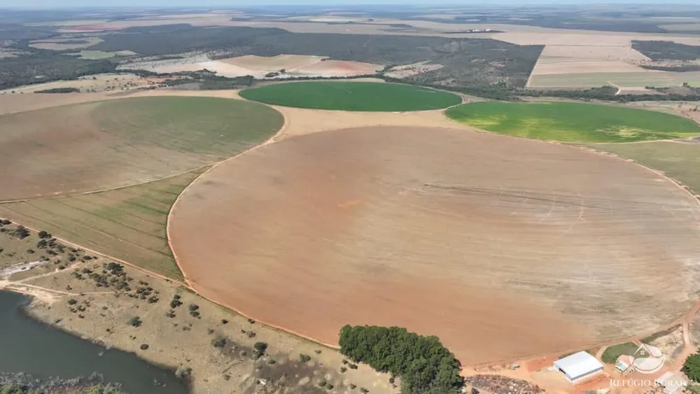 Fazenda, 1400 hectares - Foto 7