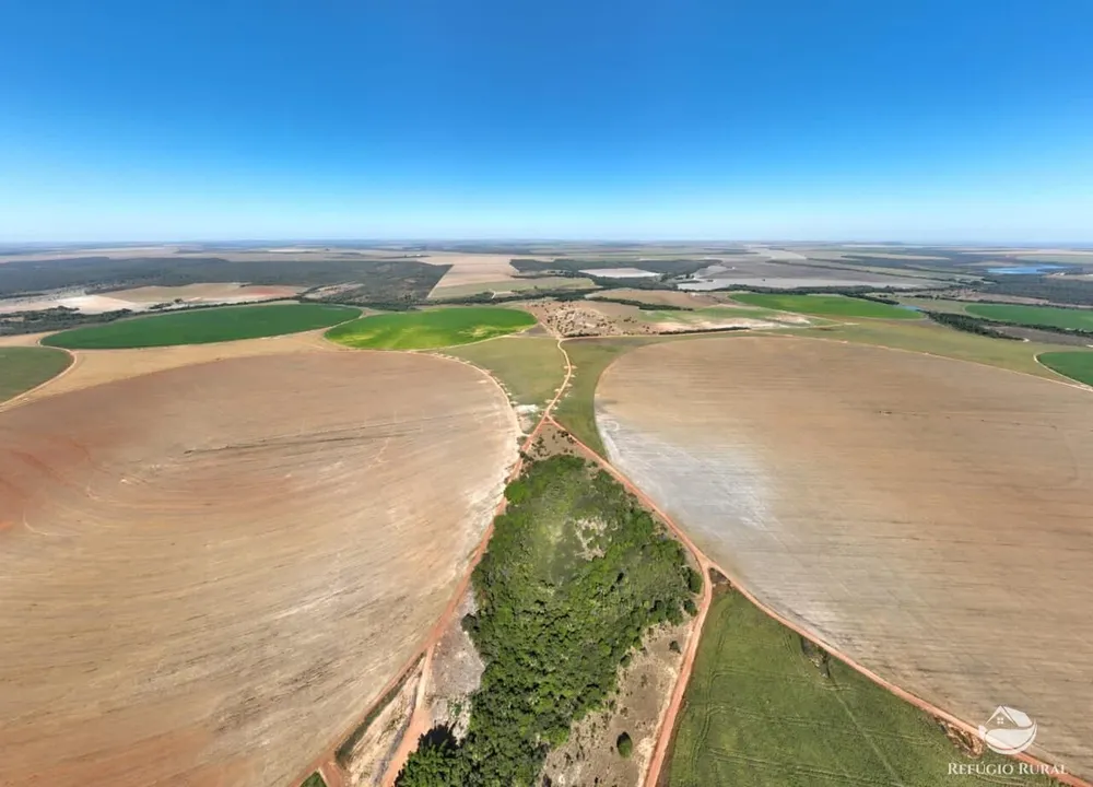 Fazenda, 1400 hectares - Foto 9